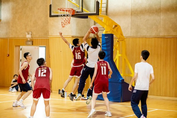 L'apprentissage accéléré : Pourquoi le Stage de Padel est le "Hack" ultime pour Progresser